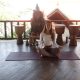 Penny Megginson Method Retreat Bali Yoga